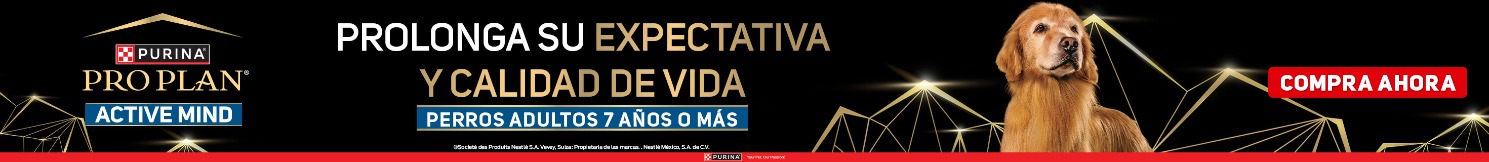 WEB_HOME_ALTO1