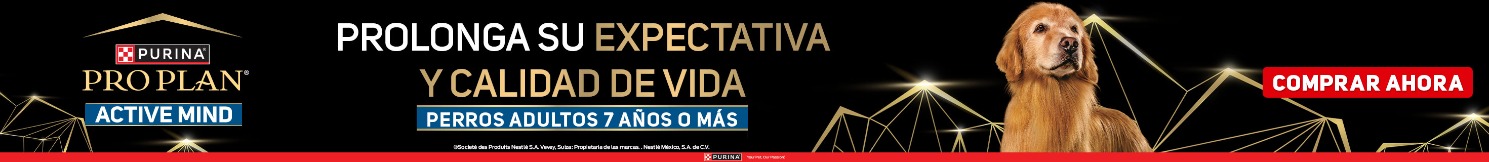 WEB_HOME_ALTO1
