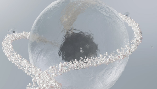 Banner 1