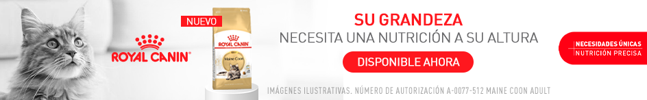 web_category_plp_top