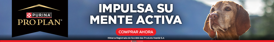web_category_plp_top