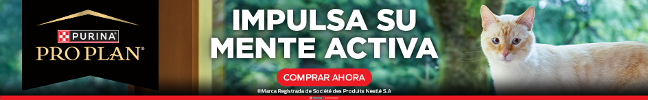 web_category_plp_top