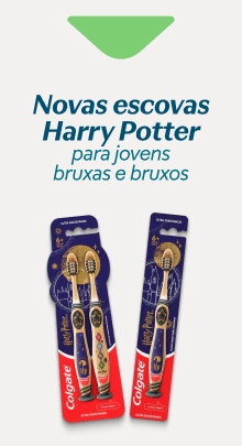 Banner 13