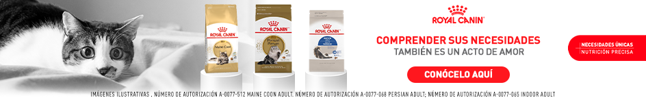 web_category_plp_top